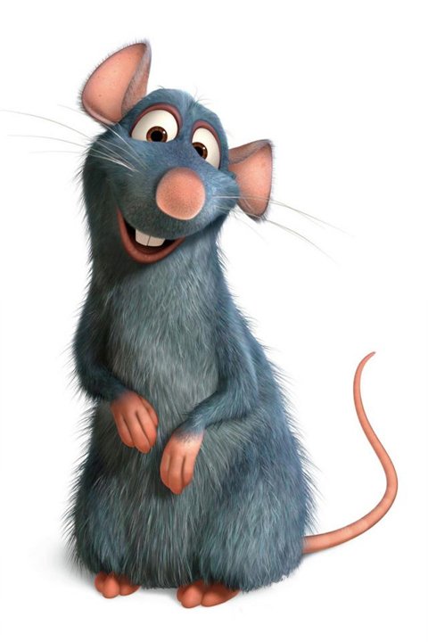 【图】世界上最可爱的老鼠,可爱老鼠图片大全及卡通老鼠