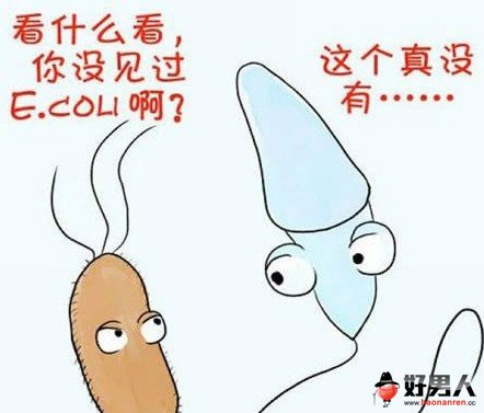 细数精子的15种悲催死法