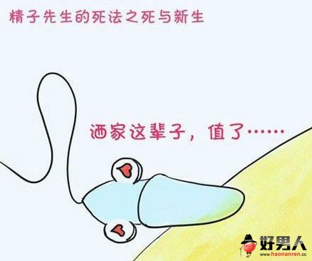细数精子的15种悲催死法