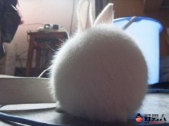 ȷˣЩ޵СӰͼ