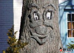  Ĺ