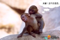 超搞笑的郊外＂偷情＂全过程！