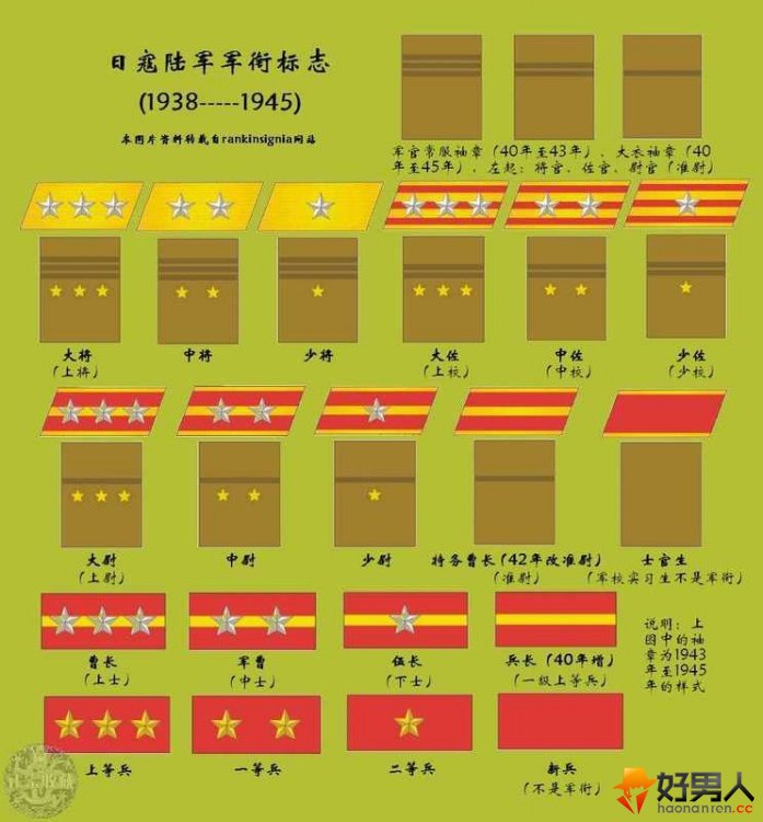 二战时期日本陆军编制及与德军美军的差距,日本陆军现行编制 - huzaxi2006@126 - 胡展翔的博客