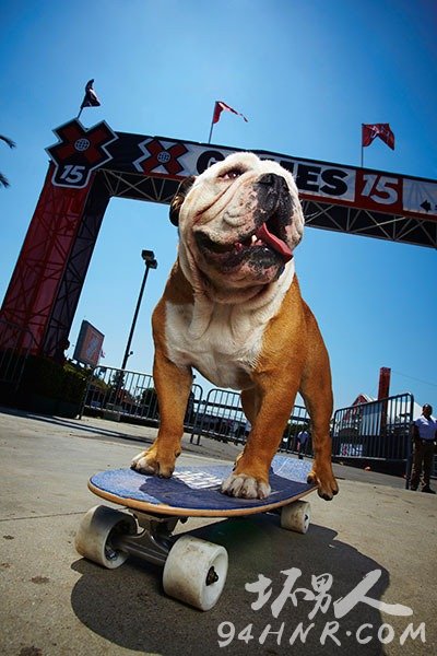 Tillman-fastest-100-m-on-a-skateboard-by-a-dog-portrait_tcm25-404384_tcm32-404616