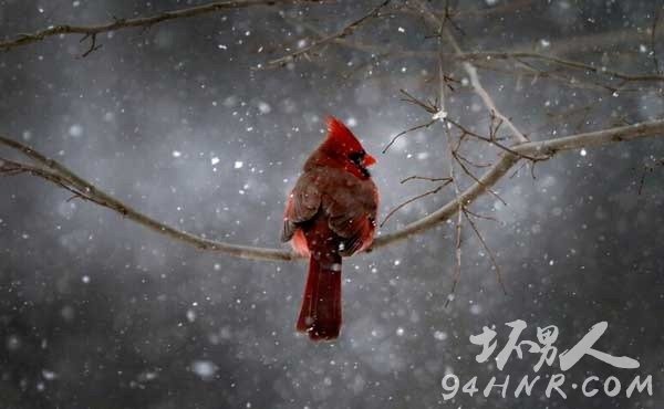 QQ截图20150109085518
