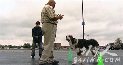 fastest-100-m-with-a-can-balanced-on-the-head-by-a-dog-owner-video-still_tcm25-393053_500x264