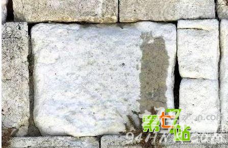 世界八大灵异事件排行